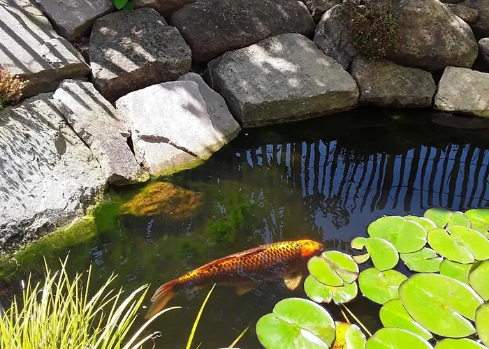 Appartement Haus Am Vogelsang